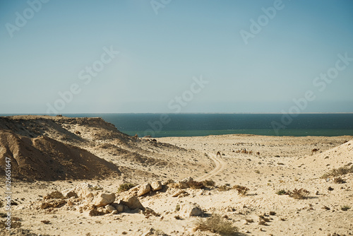 Amazing sand dunes during sunny and windy day in the Natural Reserve of Dunes with sand dust and ocean in background,