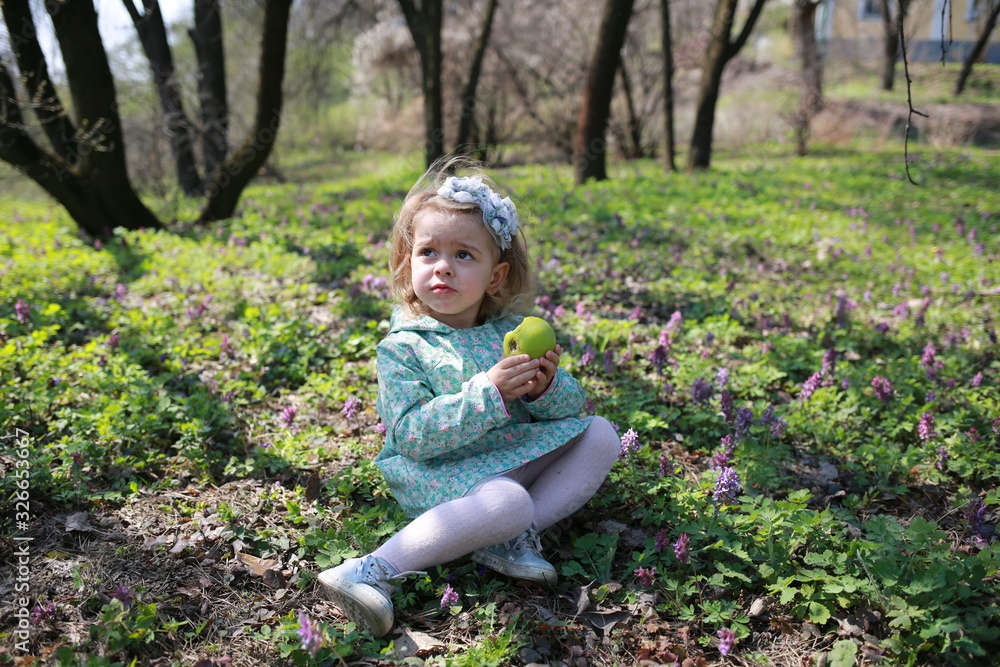 A little girl walks in the spring botanical garden with an apple in her hands and eats it where the primroses bloomed A little girl walks in the spring botanical garden with an apple in her hands and eats it where the primroses bloomed