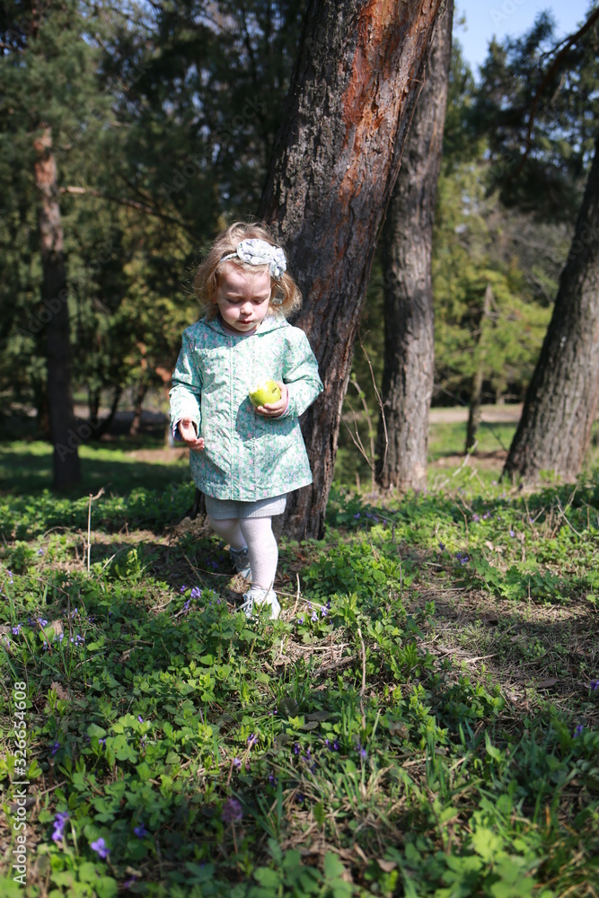 A little girl walks in the spring botanical garden with an apple in her hands and eats it where the primroses bloomed A little girl walks in the spring botanical garden with an apple in her hands and eats it where the primroses bloomed