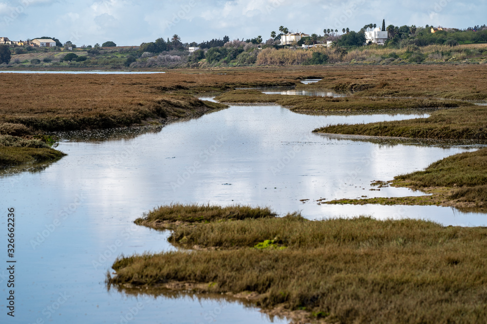 Wetlands and marshes in Tavira Portugal, with selective focus in midground