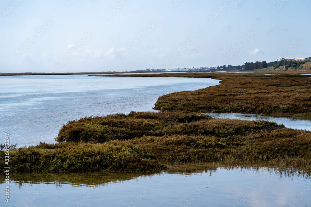 Wetlands and marshes in Tavira Portugal, at Barril Beach