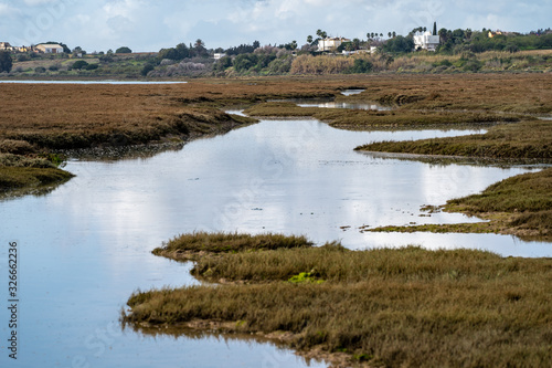 Fototapeta Naklejka Na Ścianę i Meble -  Wetlands and marshes in Tavira Portugal, with selective focus in midground