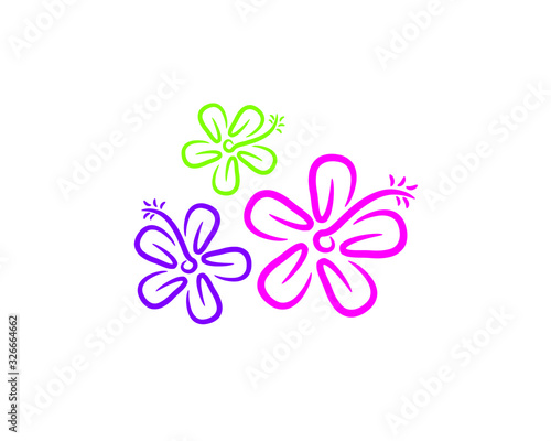 colorful flower green pink purple with petals stigma filament and pollen