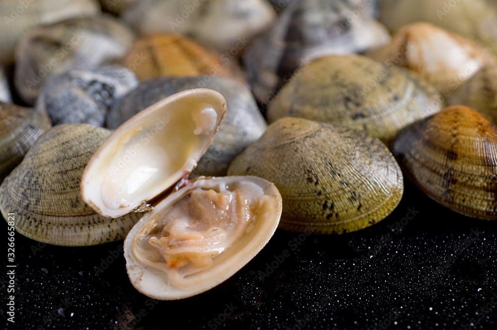 Vongole su fondo nero Vongole su fondo nero
