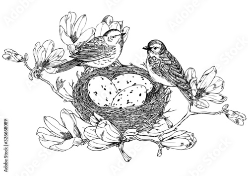 Magnolia branches with birds, nest and eggs