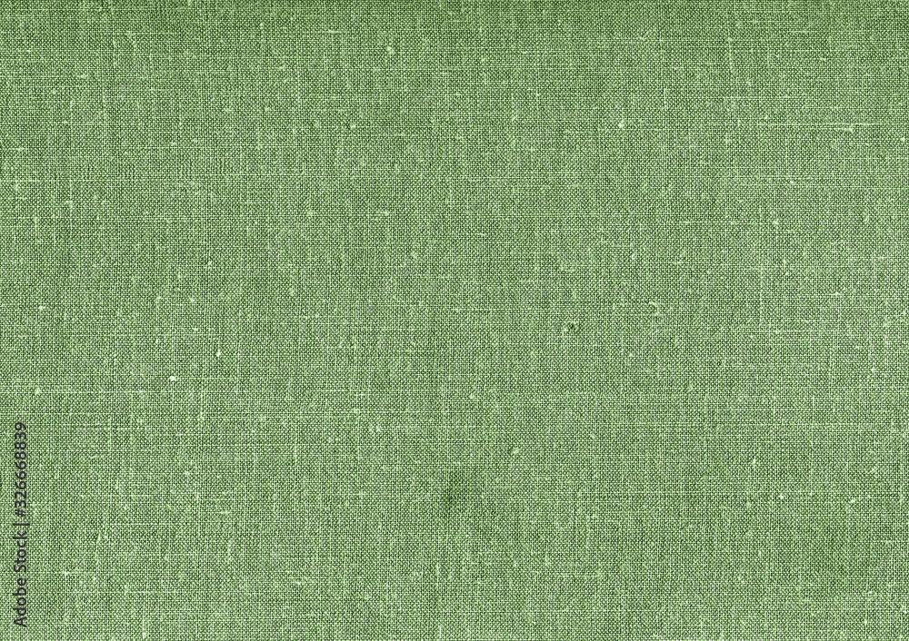 Fototapeta premium Green fabric