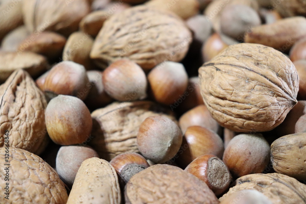 Walnuts, hazelnuts, almonds and others Walnuts, hazelnuts, almonds and others