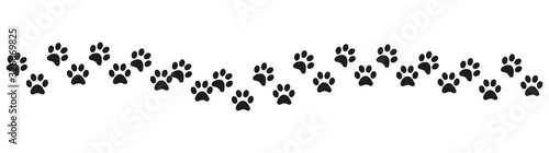 Track of cat dog tracks, footprint, design