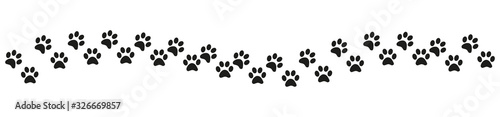 Track of cat dog tracks, footprint, design