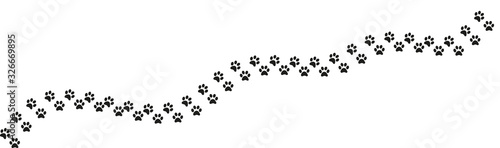 Track of cat dog tracks, footprint, design