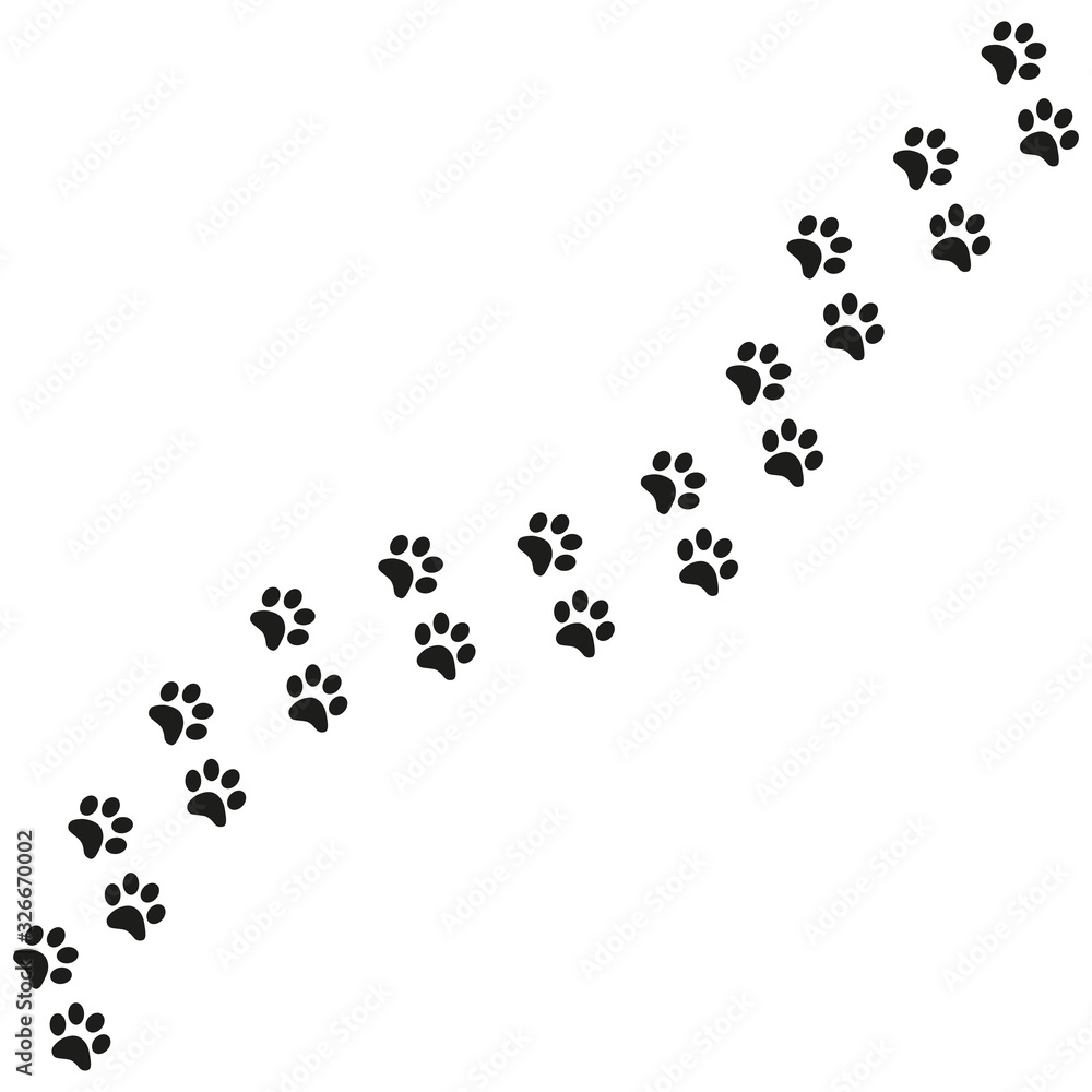 Track of cat dog tracks, footprint, design Track of cat dog tracks, footprint, design
