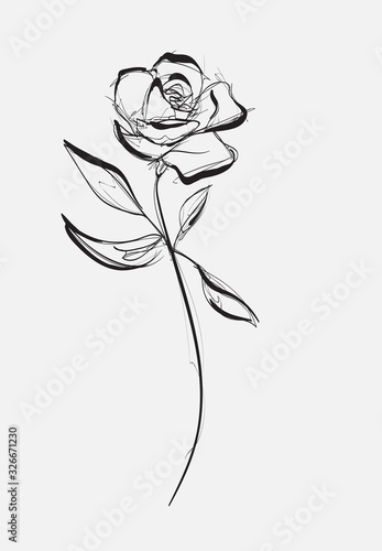Flower Rose, sketch, painting. Hand drawing. White bud, petals, stem and leaves. Monochrome, Black and white illustration.