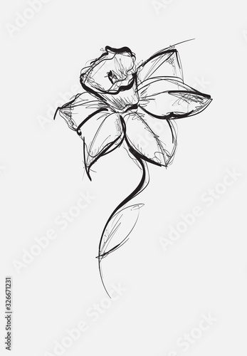 Vector Iris floral botanical flower sketch. Black and white engraved ink art. Isolated iris illustration element.