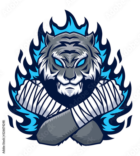 Tiger fighter with blue fire illustration