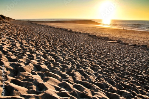 Beautiful beach with dunes and bushes in Aveiro