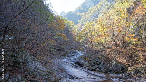 Mountain river in autumn forest in Seoraksan national park in Sokcho, South Korea, Asia.