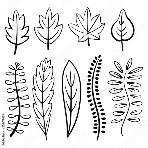 Set of doodle leaves. Black line sketch, organic shapes silhouettes. Hand drawn design elements. Vector illustration