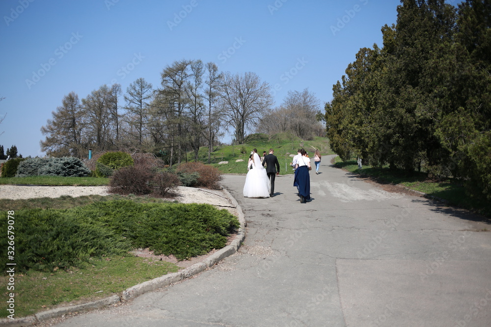 bride and groom walk on a wedding day in a botanical garden, spring bride and groom walk on a wedding day in a botanical garden, spring