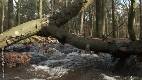 Overflowing Leuvenum forest creek after heavy rains in the Veluwe nature reserve in Gelderland, The Netherlands. photo