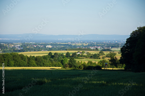 Ein Feld im Sommer in Wiesbaden