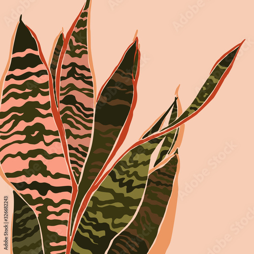 Sansevieria plant in a minimalist trendy style. Silhouette of a plant in a contemporary simple abstract style. Vector illustration collage. For t-Shirt Print, card, poster, social media post