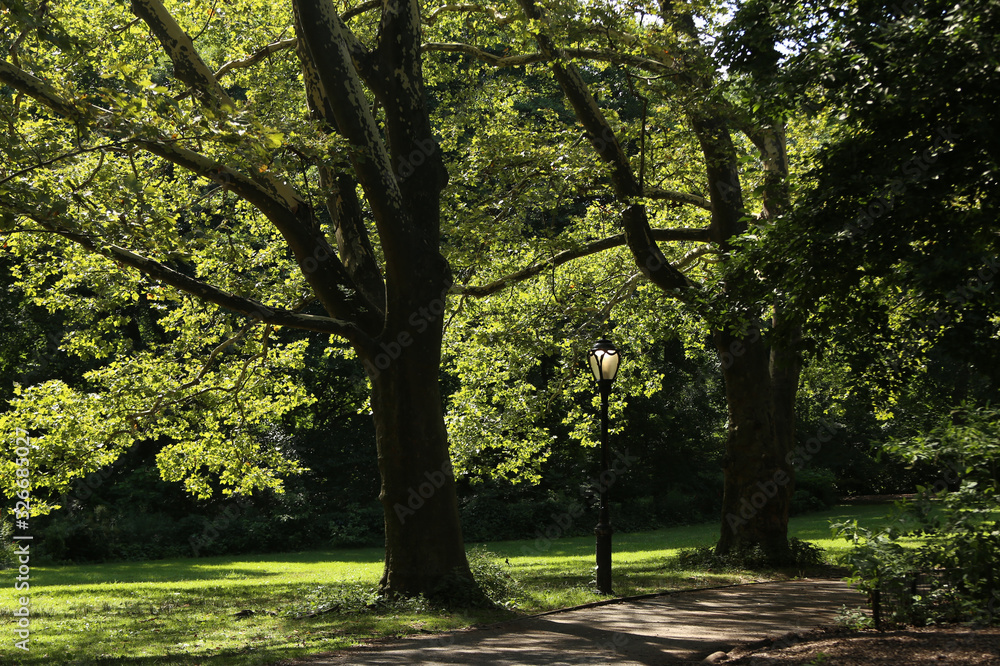 Naklejka premium Central Park in New York, horizontal picture