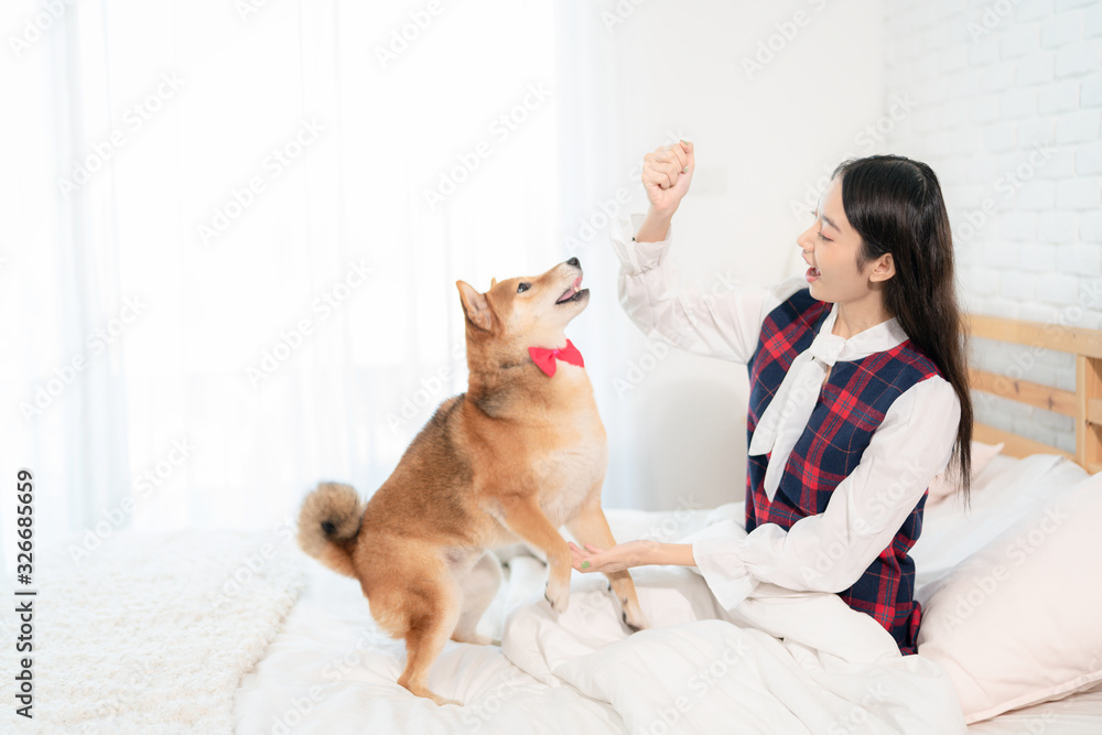 Pet Lover concept. An Asian woman is resting with a Shiba Inu dog on bed in bed room. Shiba Inu is a Japanese dog that is famous throughout the world. Selective focus. Pet Lover concept. An Asian woman is resting with a Shiba Inu dog on bed in bed room. Shiba Inu is a Japanese dog that is famous throughout the world. Selective focus.