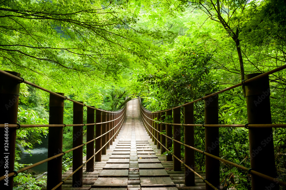 Poster de jardin avec wooden bridge in the forest #326686611