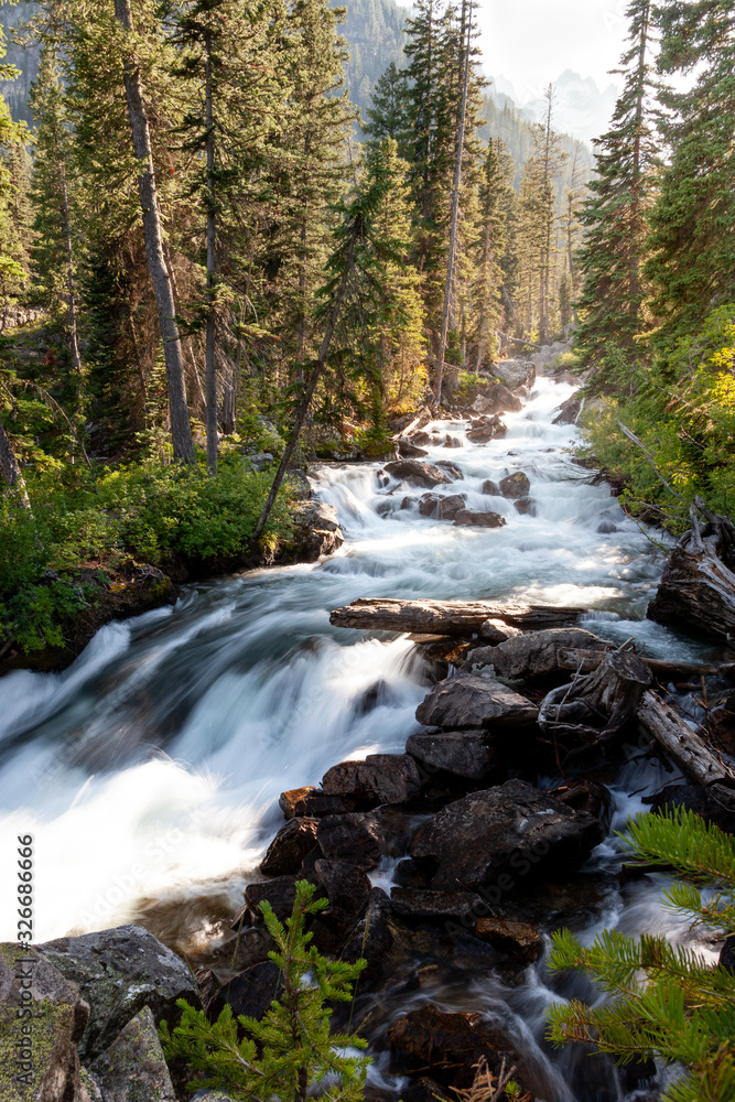 Forest waterfall in the Grand Tetons at sunset Forest waterfall in the Grand Tetons at sunset