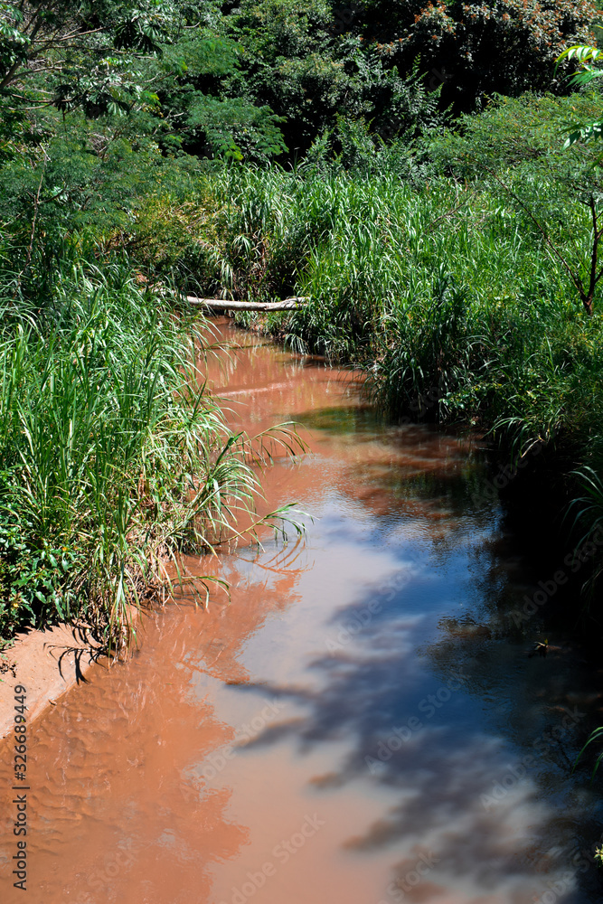 Obraz premium Rio marrom em interior de floresta tropical 