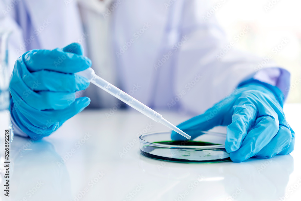 Close up hand scientists study cell health care and researchers doing some research with dropper chemical testing and working in life science laboratory. Close up hand scientists study cell health care and researchers doing some research with dropper chemical testing and working in life science laboratory.