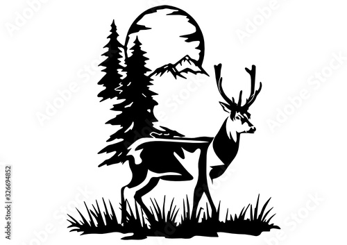 wild deer with big horns, black and white vector silhouette