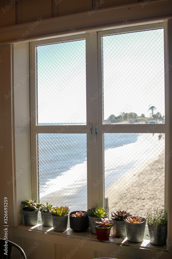 Window With Coastal View and Flowers Window With Coastal View and Flowers