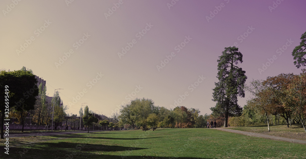 View of the green grass and trees in the Park in the evening. View of the green grass and trees in the Park in the evening.