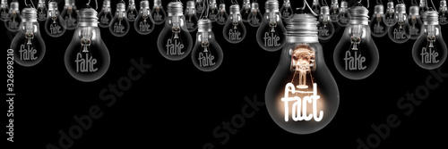 Light Bulbs with Fake and Fact Concept Fototapet