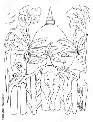 hand drawn sketch for coloring book