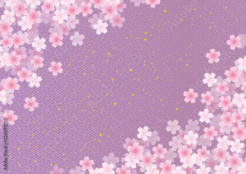 桜 和柄 紗綾 背景 紫