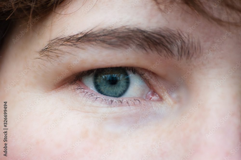 Obraz premium Female eye close-up. Concept for skin, eyelashes and eyes.