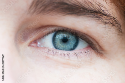 Female eye close-up. Concept for skin, eyelashes and eyes.