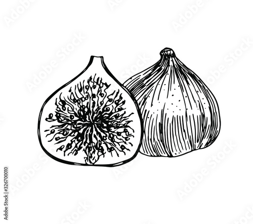 Figs in line art style.
