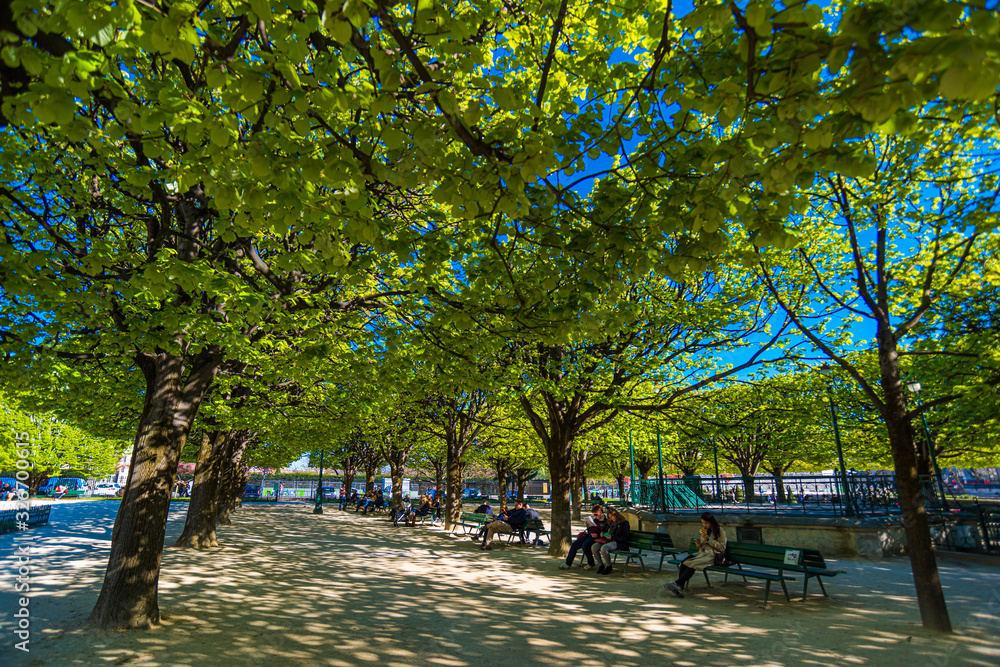 Fototapeta premium Park in Paris in spring