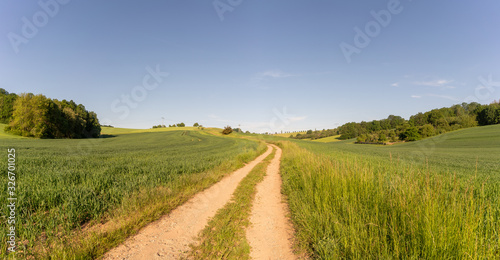 Fototapeta Naklejka Na Ścianę i Meble -  Country road through the fields