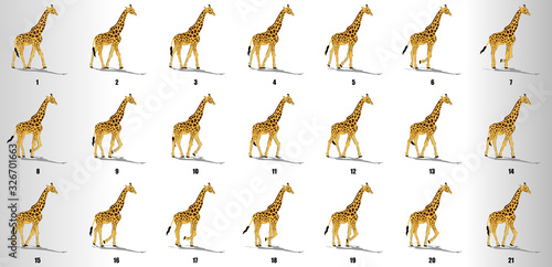 Giraffe walk cycle animation frames, loop animation sequence sprite sheet 
