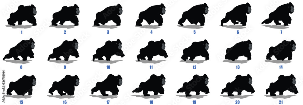 Obraz premium gorilla walk cycle animation frames silhouette, loop animation sequence sprite sheet 