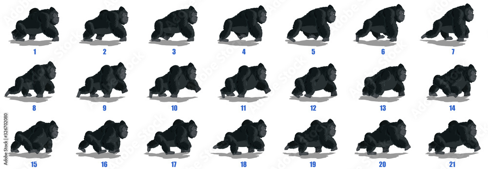 gorilla walk cycle animation frames, loop animation sequence sprite sheet gorilla walk cycle animation frames, loop animation sequence sprite sheet