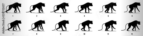 Monkey walk cycle animation frames silhouette, loop animation sequence sprite sheet 