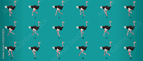 Ostrich Run Cycle animation sequence  loop animation sprite sheet