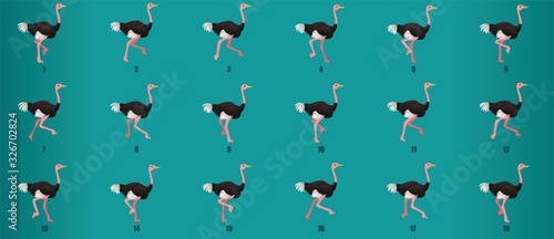 Ostrich Run Cycle animation sequence, loop animation sprite sheet