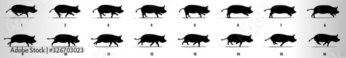 Pig run cycle animation frames silhouette, loop animation sequence sprite sheet 