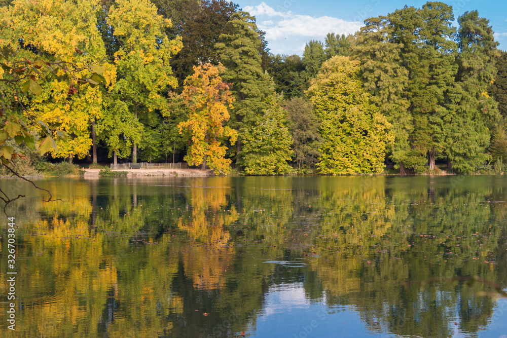 Reflections of lakeside trees on the lake surface in Lyon, France Reflections of lakeside trees on the lake surface in Lyon, France